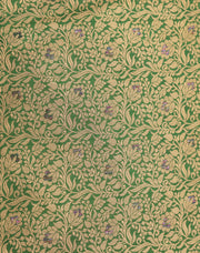 Signoraa Green Silk Brocade With Badla - PMT04909