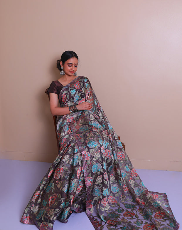 The brown blended saree with brasso print and stone embroidery on the border, - BLN01339