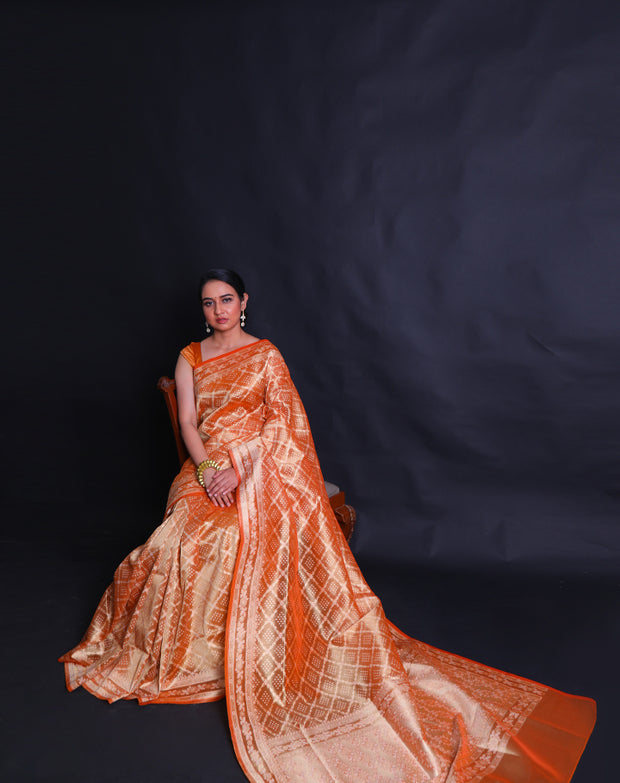 The orange Banarasi tissue saree with thread woven all over the drape,- BSK010772
