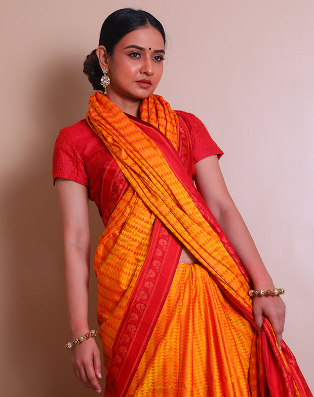 The Mustard Banarsi tanchui silk saree adorned with thread woven designs in contrast red on the border, pallu, - BSK09549
