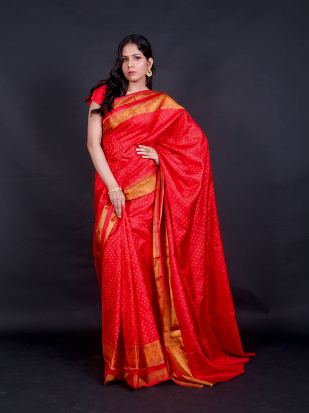 Signoraa Red Rajkot Patola Handloom Saree – RPT00811